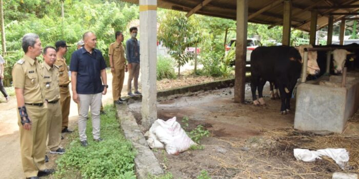Perumda PPJ Pastikan Penjualan Daging di Pasar Memiliki SKKD Perumda PPJ, Hewan Ternak, Penjualan Daging, Pasar Kota Bogor, SKKD