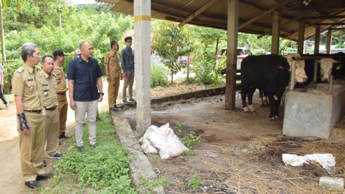 Perumda PPJ, Hewan Ternak, Penjualan Daging, Pasar Kota Bogor, SKKD