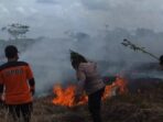 Kebakaran Melanda Lima Hektar Lahan di Kalteng Kebakaran Lahan, Lahan di Kalteng, Kalteng Kebakaran, Kalimantan Tengah
