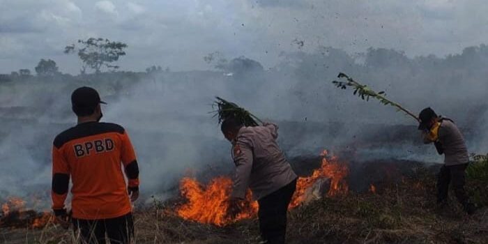 Kebakaran Melanda Lima Hektar Lahan di Kalteng Kebakaran Lahan, Lahan di Kalteng, Kalteng Kebakaran, Kalimantan Tengah