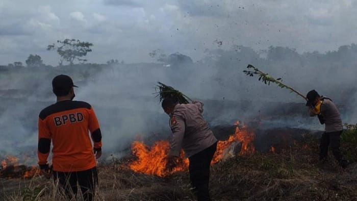 Kebakaran Lahan, Lahan di Kalteng, Kalteng Kebakaran, Kalimantan Tengah