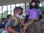 Libur Panjang, Safari Garden Suguhkan Edukasi Satwa bagi Pengunjung Libur Panjang, Safari Garden, Edukasi Satwa, Pengunjung Safari Garden