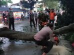 Polisi Evakuasi Pohon Tumbang di Gunung Putri Polisi Bogor, Evakuasi Pohon Tumbang, Pohon Tumbang di Gunung Putri