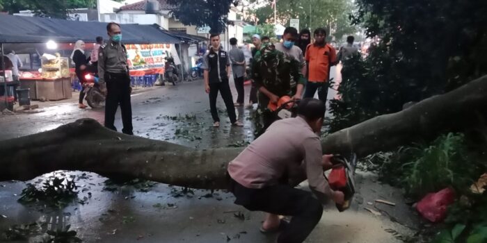 Polisi Evakuasi Pohon Tumbang di Gunung Putri Polisi Bogor, Evakuasi Pohon Tumbang, Pohon Tumbang di Gunung Putri
