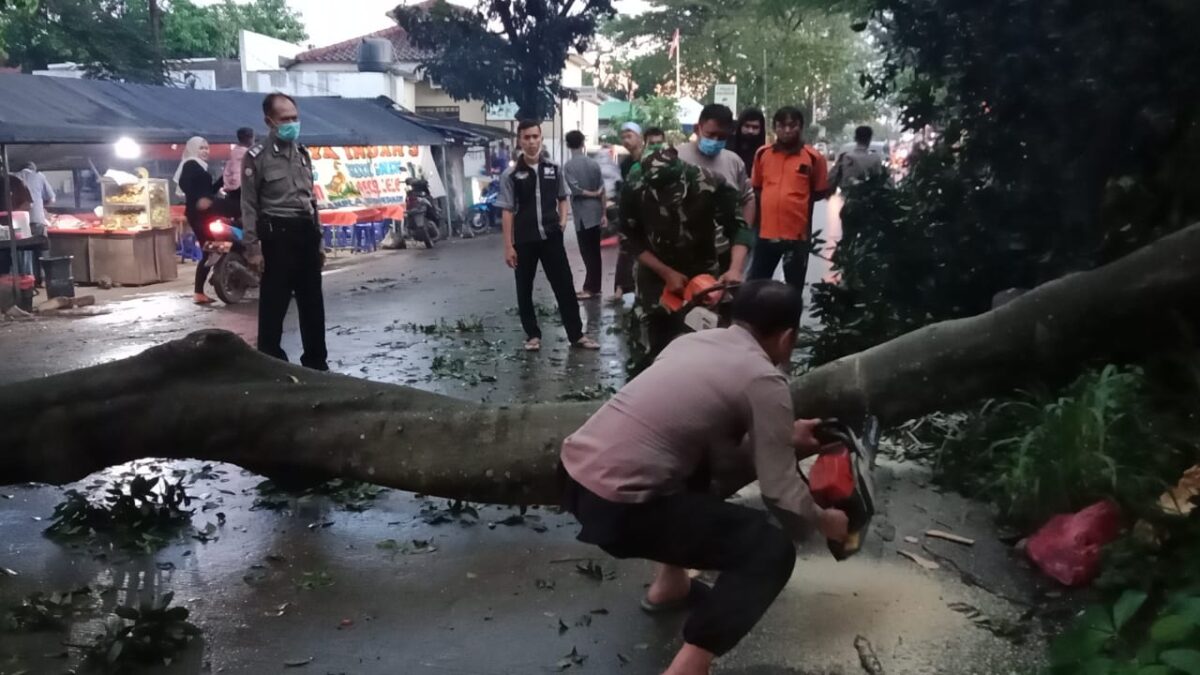 Polisi Bogor, Evakuasi Pohon Tumbang, Pohon Tumbang di Gunung Putri