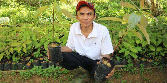 Joni Bagikan Tips Budidaya Alpukat Miki Petani Joni, Tips Budidaya Alpukat, Buah Alpukat, Alpukat Miki