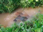 Mayat Tanpa Identitas Ditemukan di Aliran Irigasi Bogor Mayat Tanpa Identitas, Aliran Irigasi, Irigasi Bogor, Polsek Sukamakmur