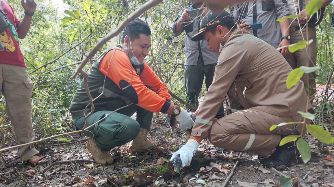 Karantina Pertanian Merauke, Pelepasliaran Reptil, Reptil