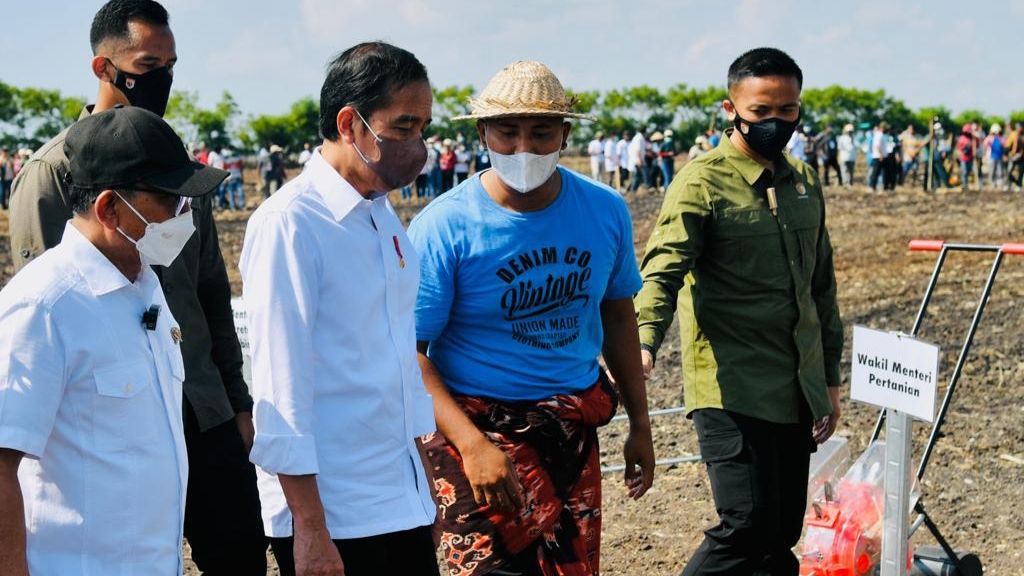 Presiden Jokowi, Sorgum, Alternatif Pangan, Krisis Pangan Global
