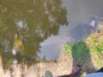 IMG_20220606_231209