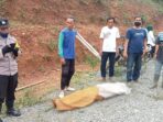 IMG-20220712-WA0002
