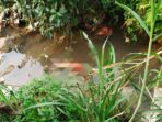IMG_20220708_153702