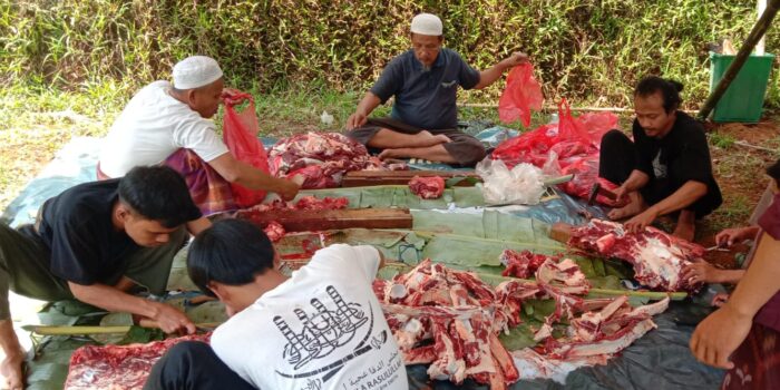 IMG_20220710_155932