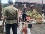 Pengurai Sampah di Perumda PPJ Sampah Organik, Sampah, Perumda PPJ, Maggot