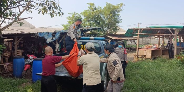 Temuan Mayat, Mayat Tanpa Identitas, Polsek Parung, Mayat di Bogor, Mayat di Parung, Mayat Perempuan