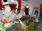 IMG-20221022-WA0068