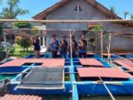 IMG-20221217-WA0005