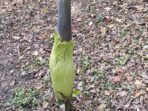IMG_20230411_135116
