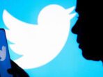 Logo Twitter Peran Twitter, Twitter