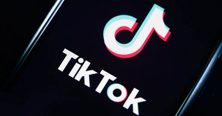 Logo Tiktok, Tiktok, Kritik Pemerintah, Media Sosial