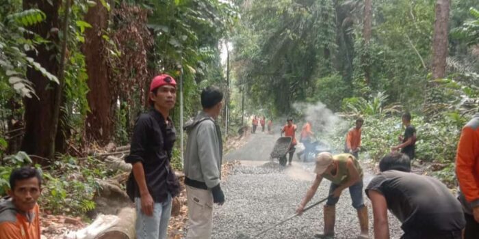 IMG-20230913-WA0003(1)