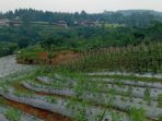 IMG_20250519_014310