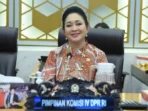Titiek Soeharto Titiek Soeharto, Impor, Tahu Tempe