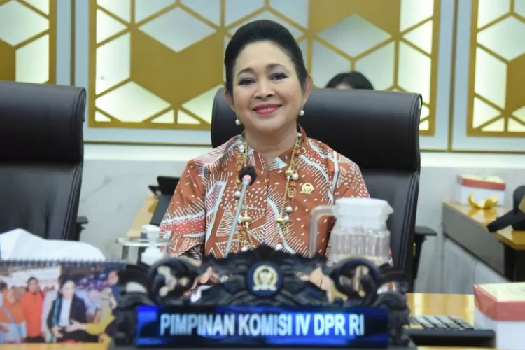 Titiek Soeharto, Impor, Tahu Tempe