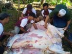 IMG-20260529-WA0012